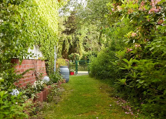 Wesseloh Schneverdingen